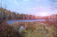 Image Lake Petit canard