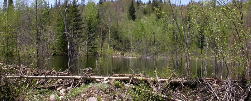 pourvoirie lanaudière