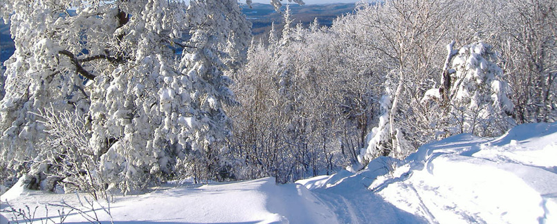 pourvoirie lanaudière